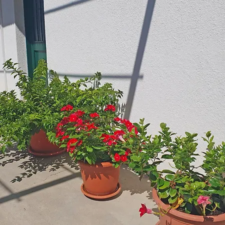 Apartman Gordana Ii *